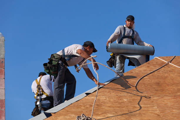 Best Roof Waterproofing Services  in High Rolls, NM